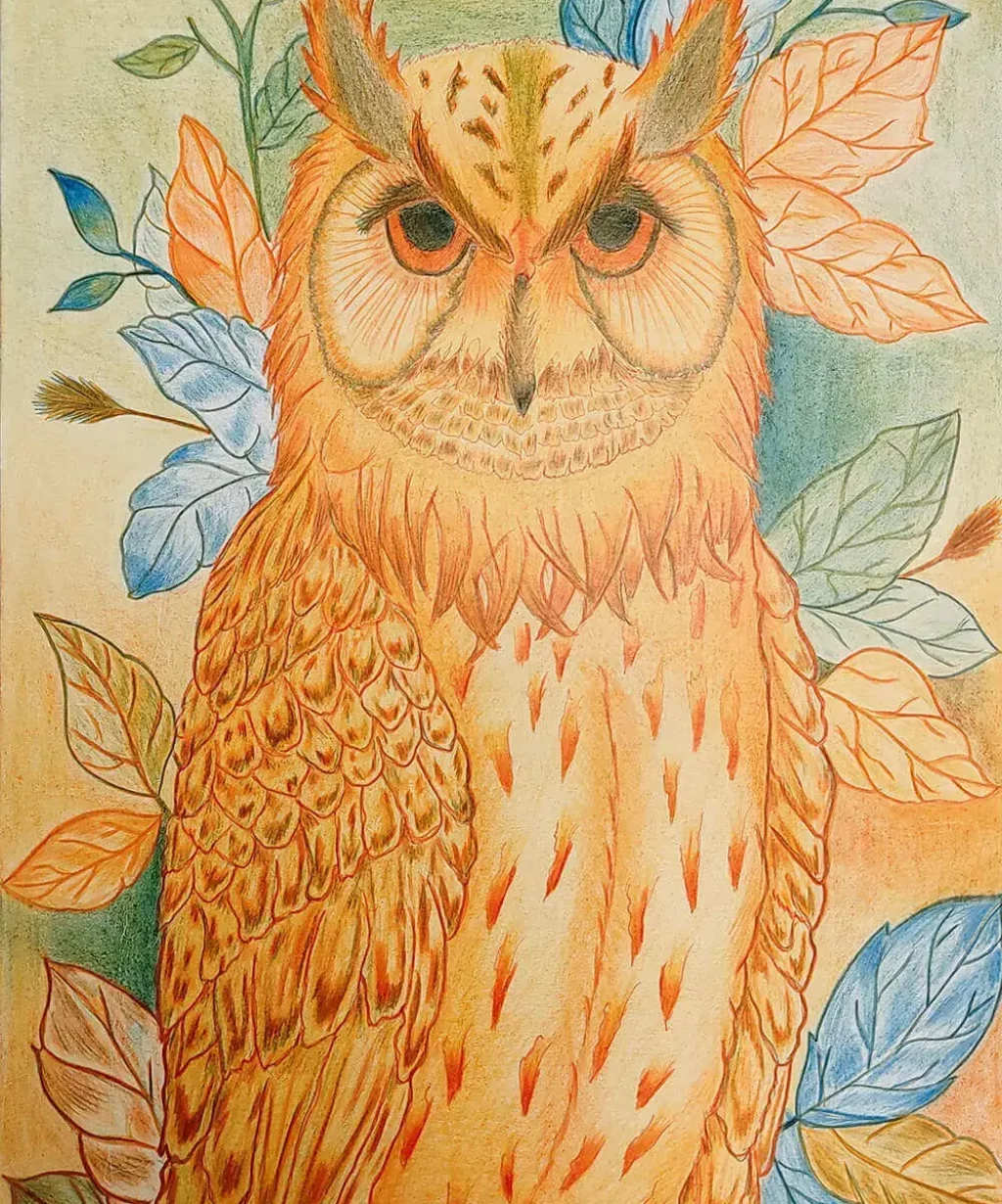 dessin-realiste-hibou-crayons-polychromos-cours-perfectionnement-adulte-jeudi-soir-choliere-orvault